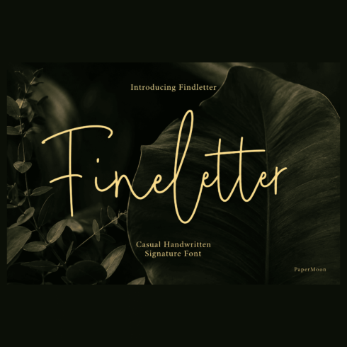 FineLetter Handwritten Script Font cover image.