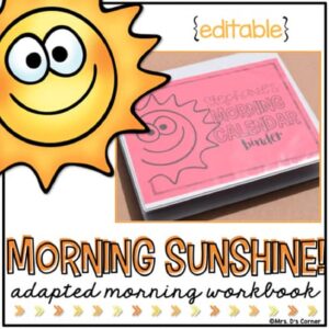 Free Morning Adapted Work Binder® – Special Needs Daily Life Skills Worksheets cover image.