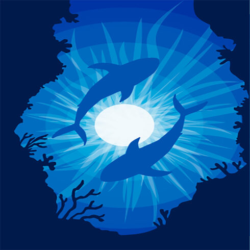 Shark Dance Under the Moon cover image.
