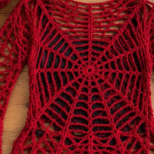 Crimson Web Gothic Crochet Top PDF Pattern | Red Spider Web Lace Blouse ā Special Price $799 cover image.