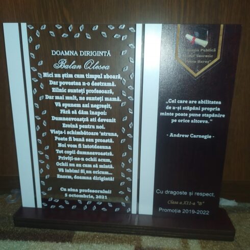 A trophy made of acrylic and plywood as a gift for a teacher cover image.
