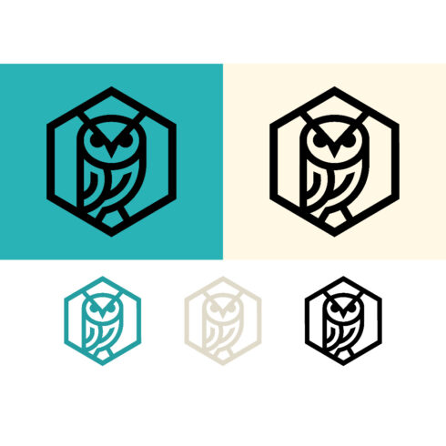 Owl logo design in hexagon shape on teal cover image.