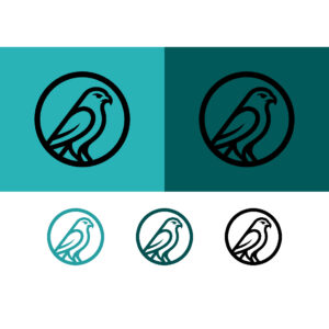 Falcon logo design in circle shape on teal cover image.