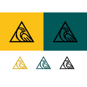 Hawk emblem on yellow and teal backgrounds cover image.