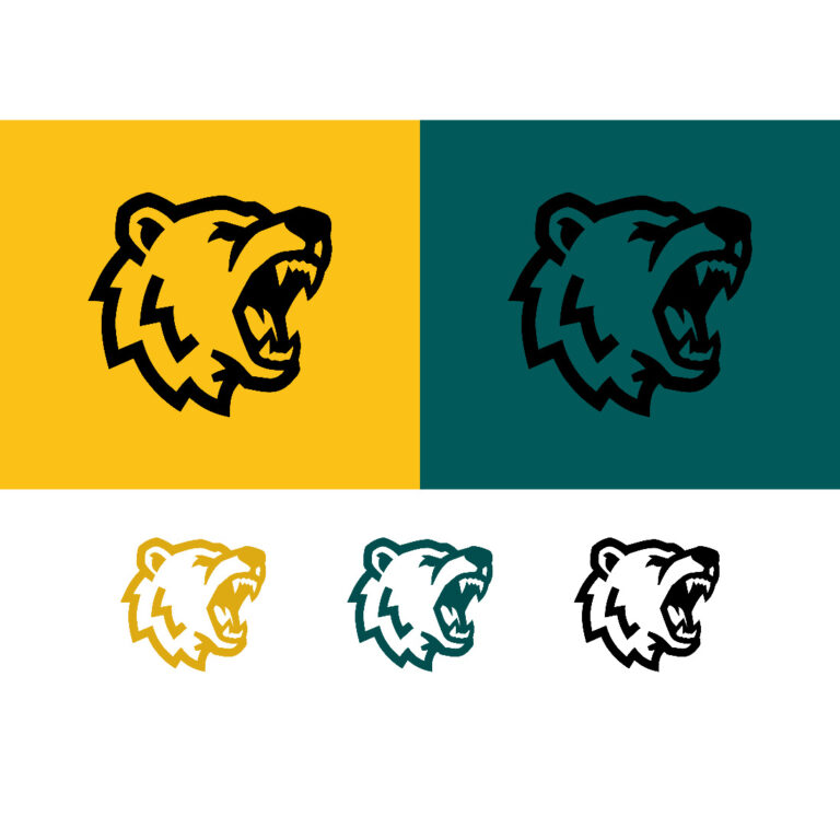 Angry bear head logo on yellow and teal cover image.