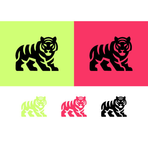 Tiger emblem graphic design on color backgrounds cover image.