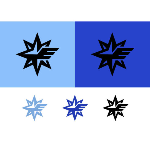 Star emblem with wings and abstract shape logo cover image.
