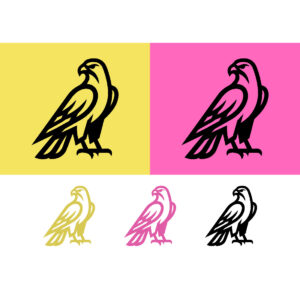 Stylized falcon logo abstract graphic design element cover image.