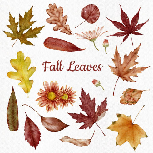 Autumn Watercolor Leaves Clipart PNG – Hand-Painted Fall Botanical Elements cover image.