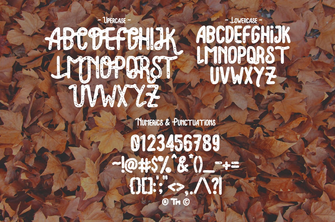 Leaves background with the font.