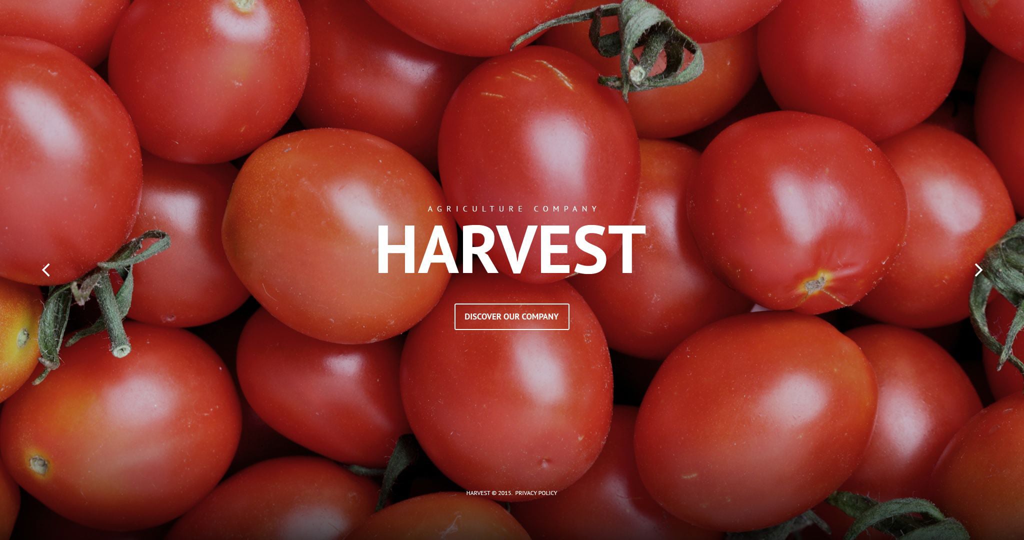Harvest PSD Template