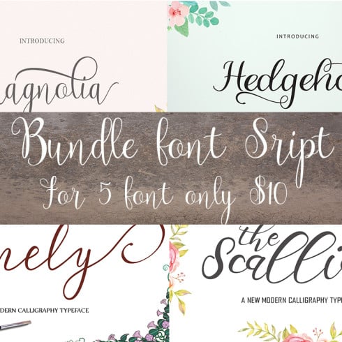 Modern Calligraphy Bundle: 5 Font Scripts only for $10 - Master Bundles