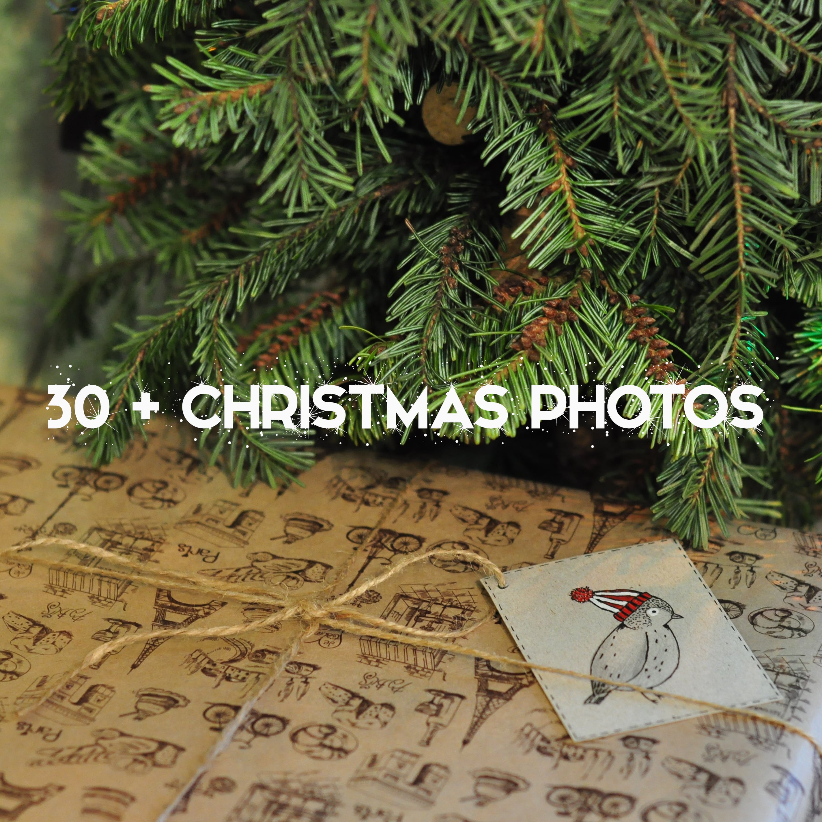 Christmas Photography: Amazing Holiday Photos