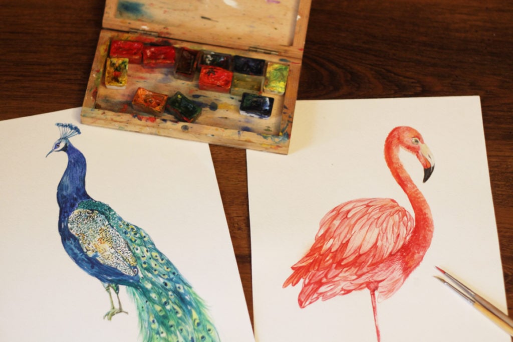 Collection of Watercolor Birds