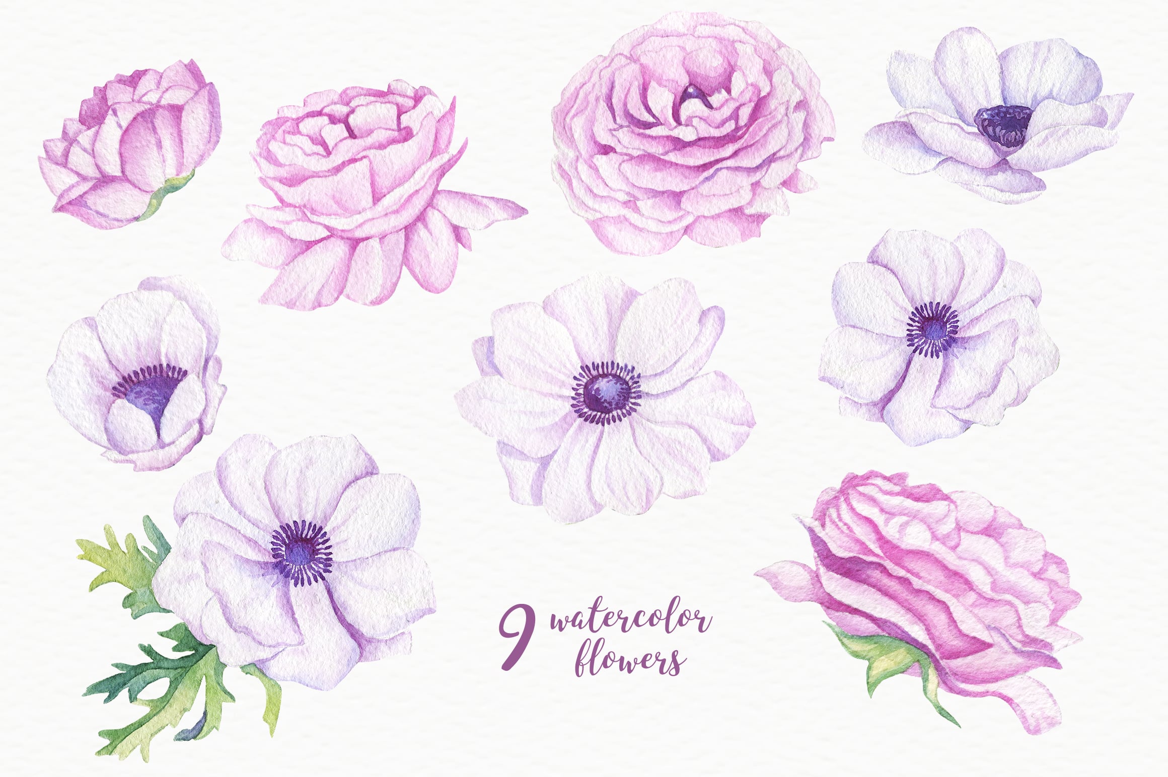 Purple watercolor flowers.