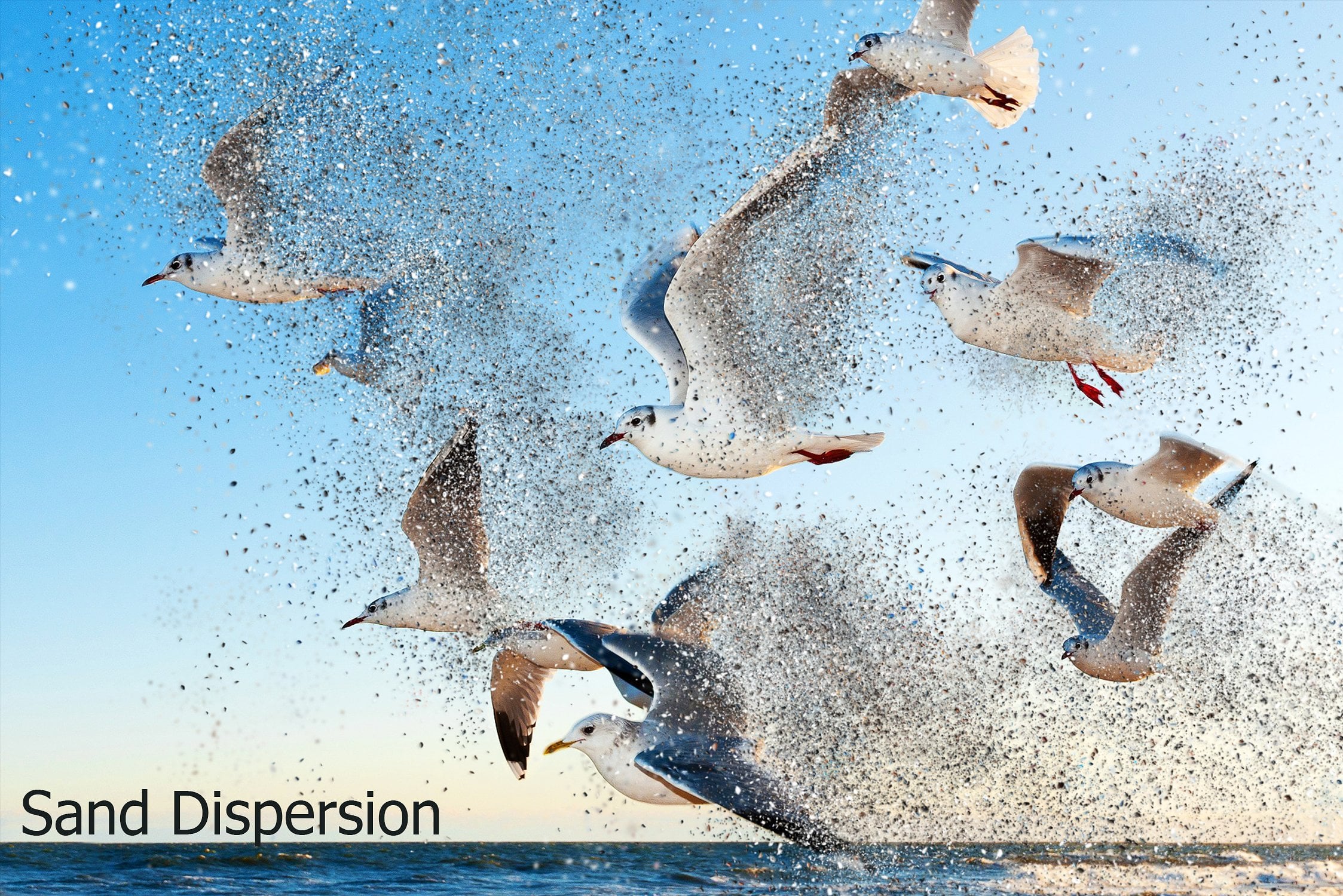 A flock of seagulls took off from the water and spread the water across the frame with their wings.