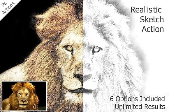 Treatment of a lion in the style of a pencil sketch.