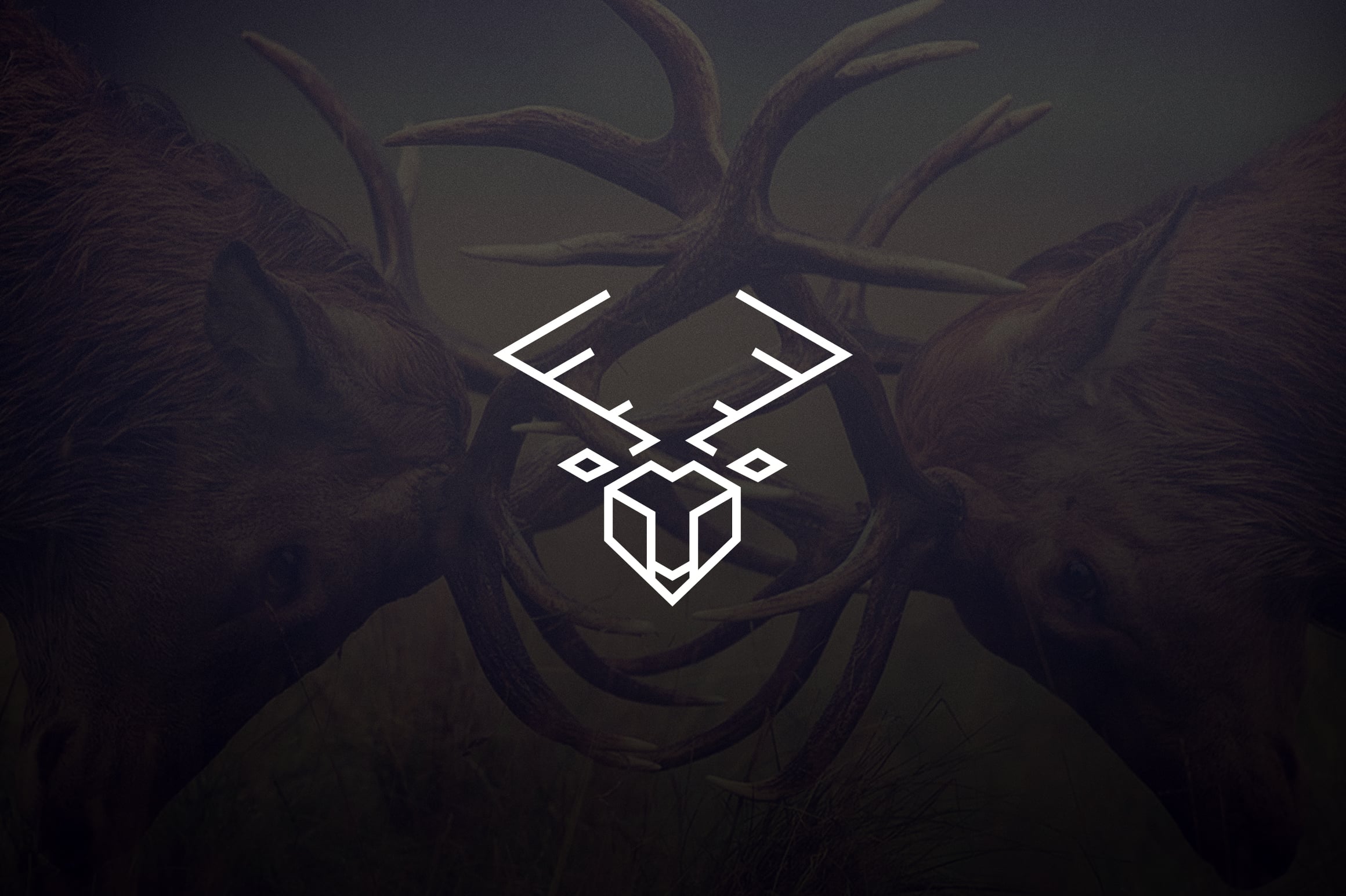 17 Geometric Animal Icons and Logos - Master Bundles