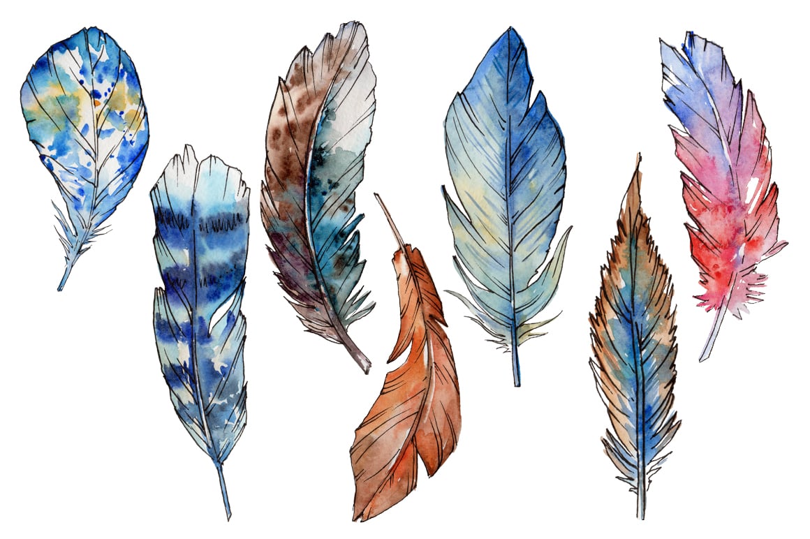 Feather PNG watercolor bird set