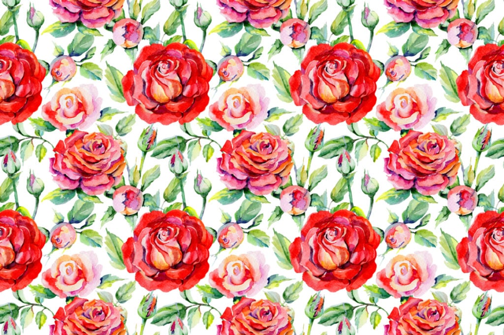 Watercolor Roses PNG flowers - just $2 | MasterBundles