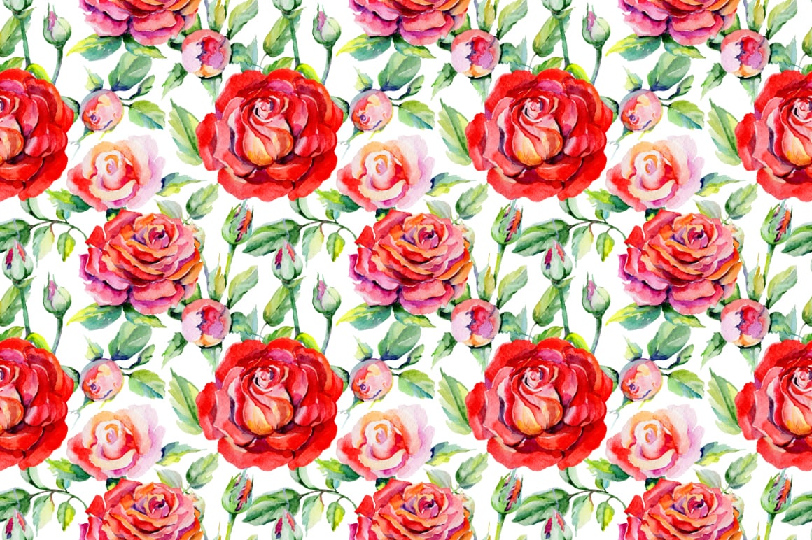 Roses PNG watercolor flower set - Illustrations