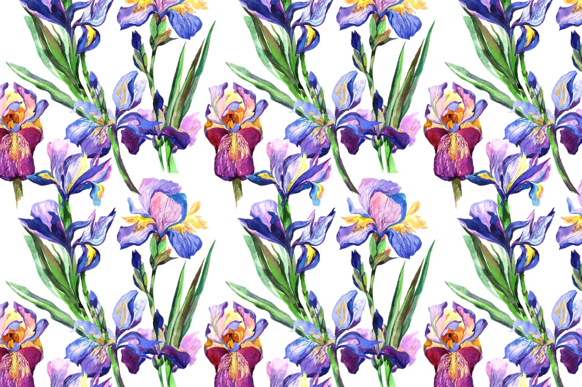 Irises PNG watercolor flowers set