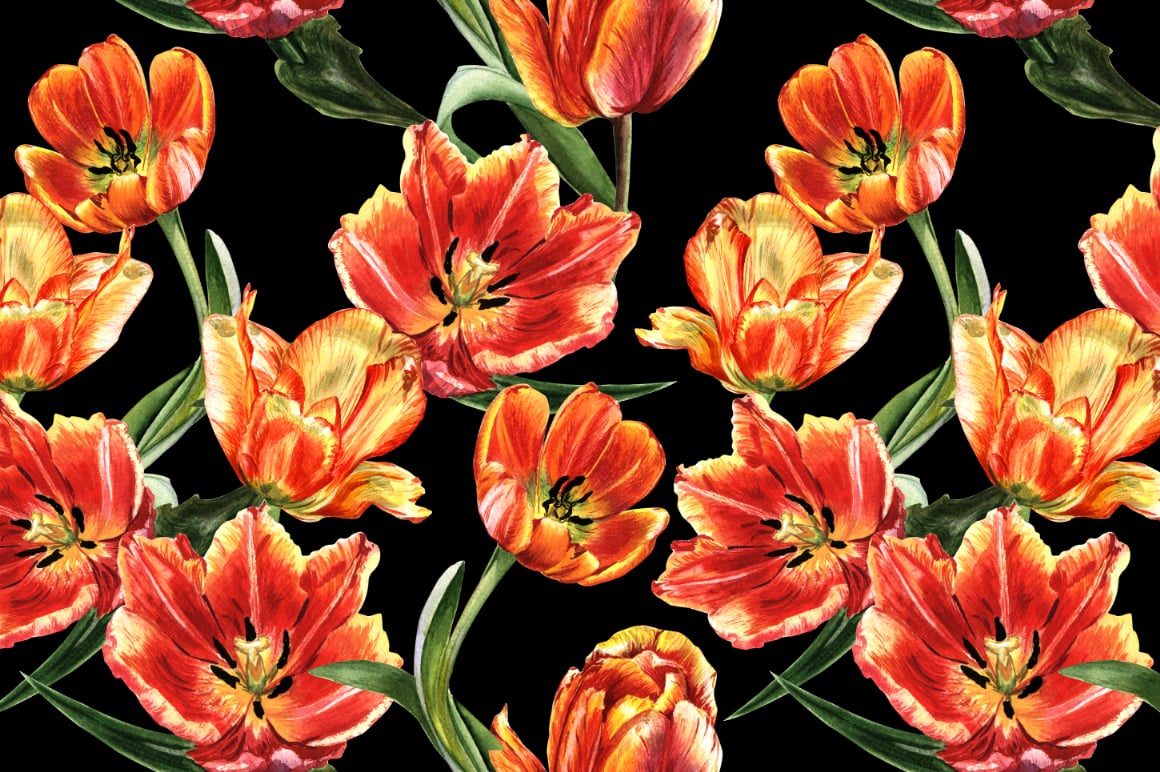 Tulip PNG watercolor flower set