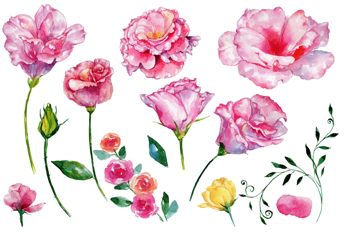 Pink watercolor flowers set.