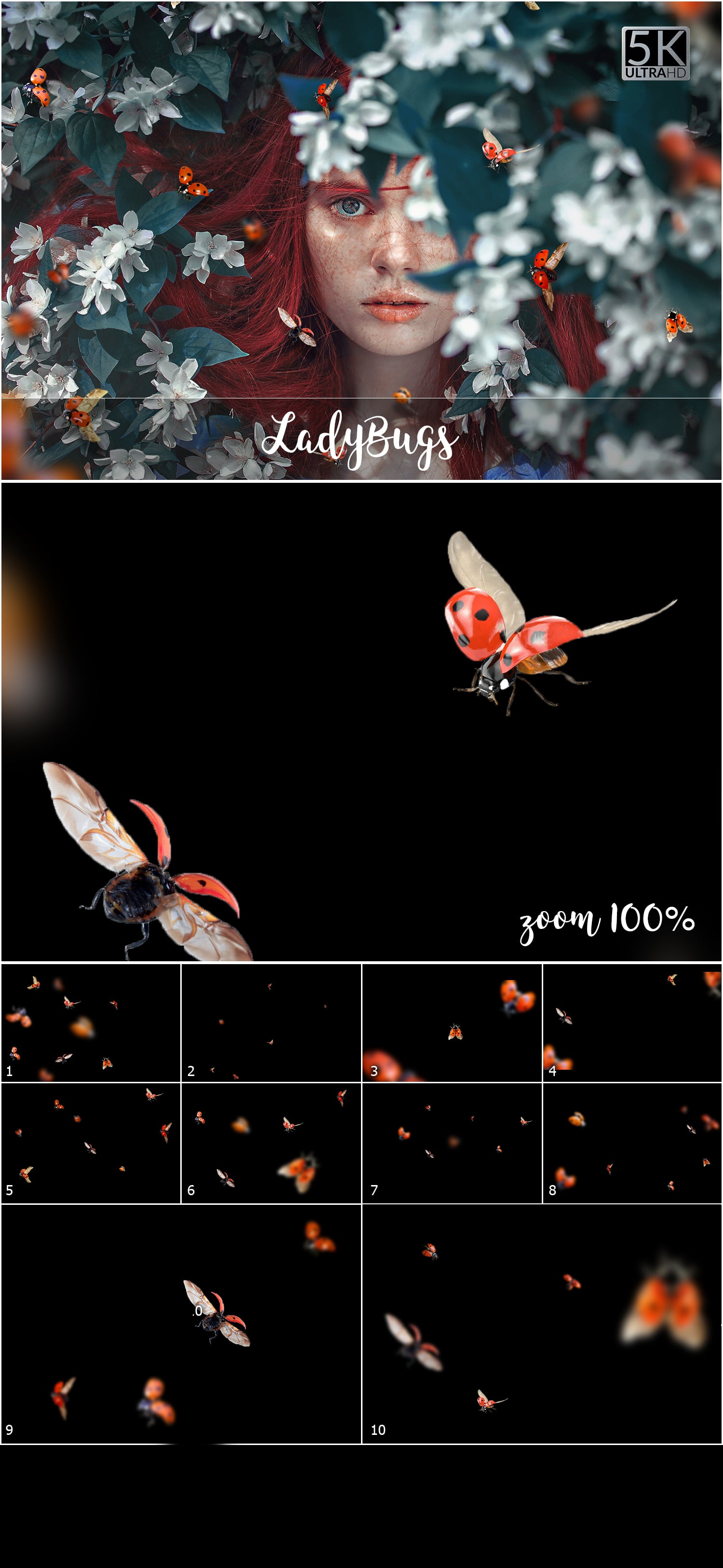 5K Ladybugs Overlays