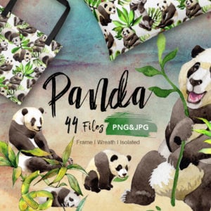 Panda Wild Animal PNG Watercolor Set main cover.