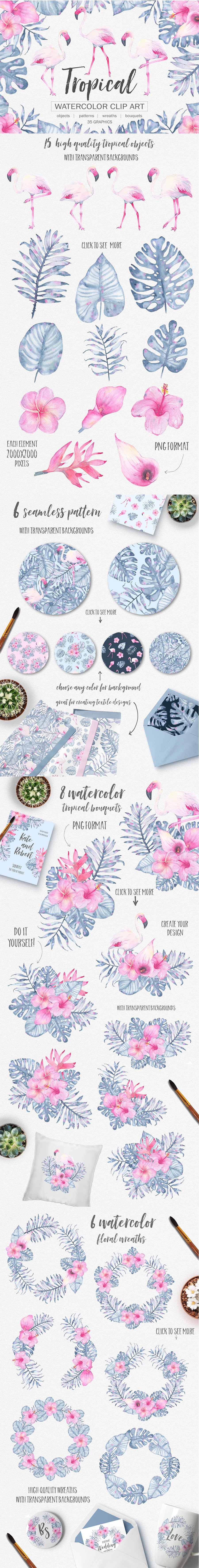 Watercolor Illustration Bundle - Master Bundles