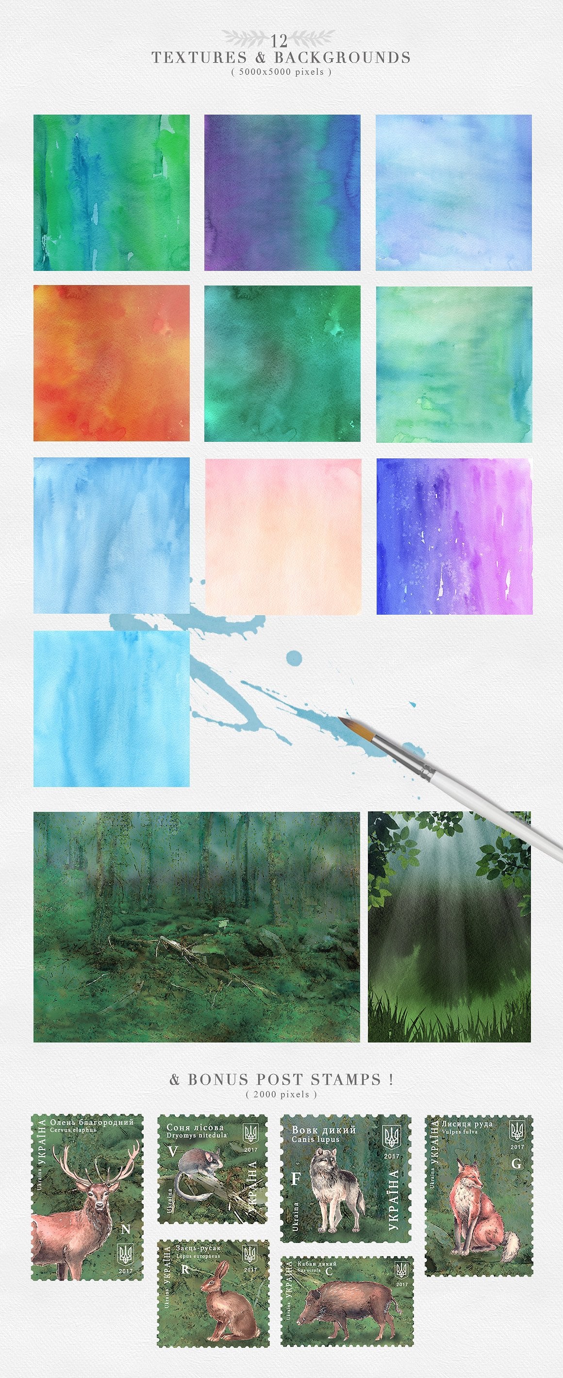 Watercolor textures and backgrounds.