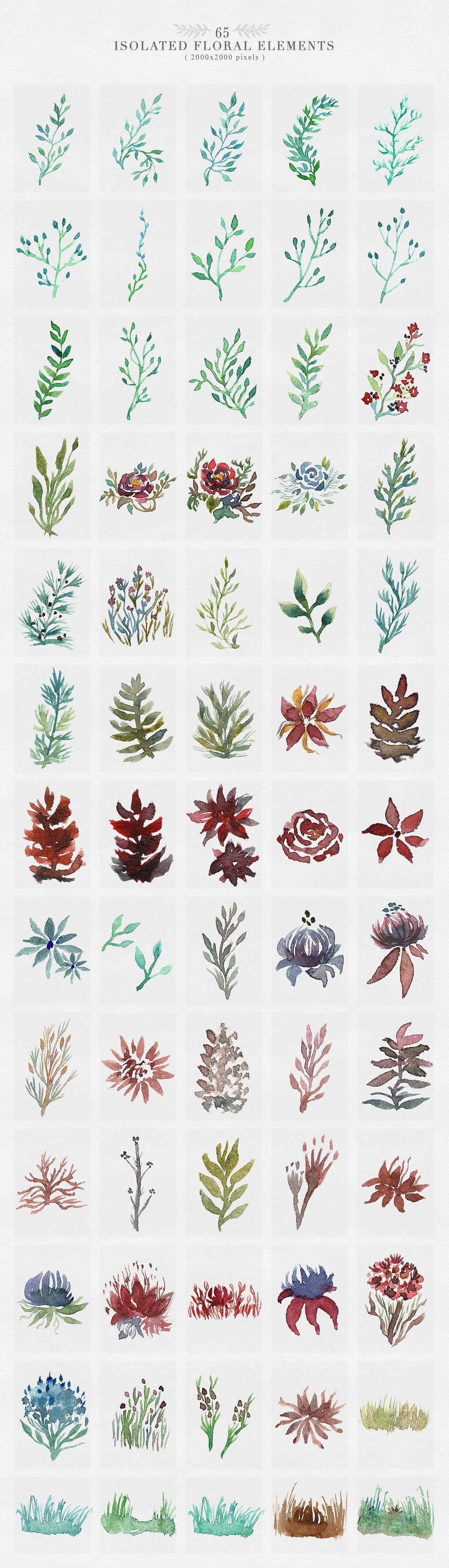 Isolated floral elements.