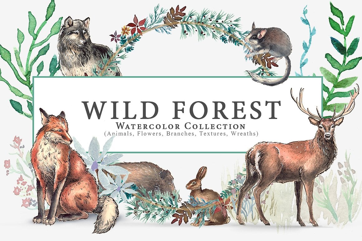 Wild Forest watercolor collection.