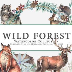 Wild Forest Watercolor Collection main cover.