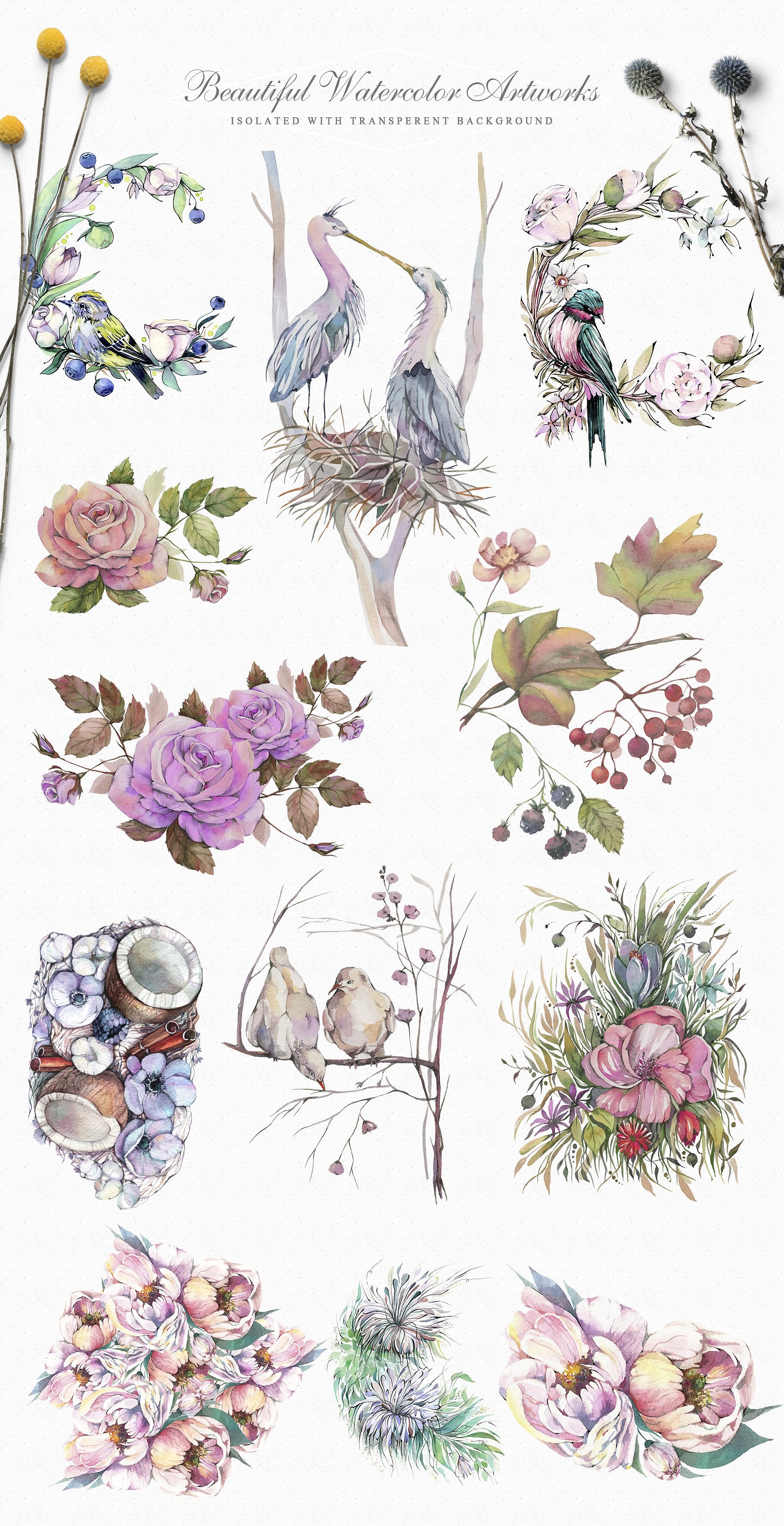 Spring Garden Watercolor Collection 