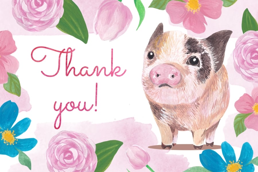 Thank You and Little Pig.