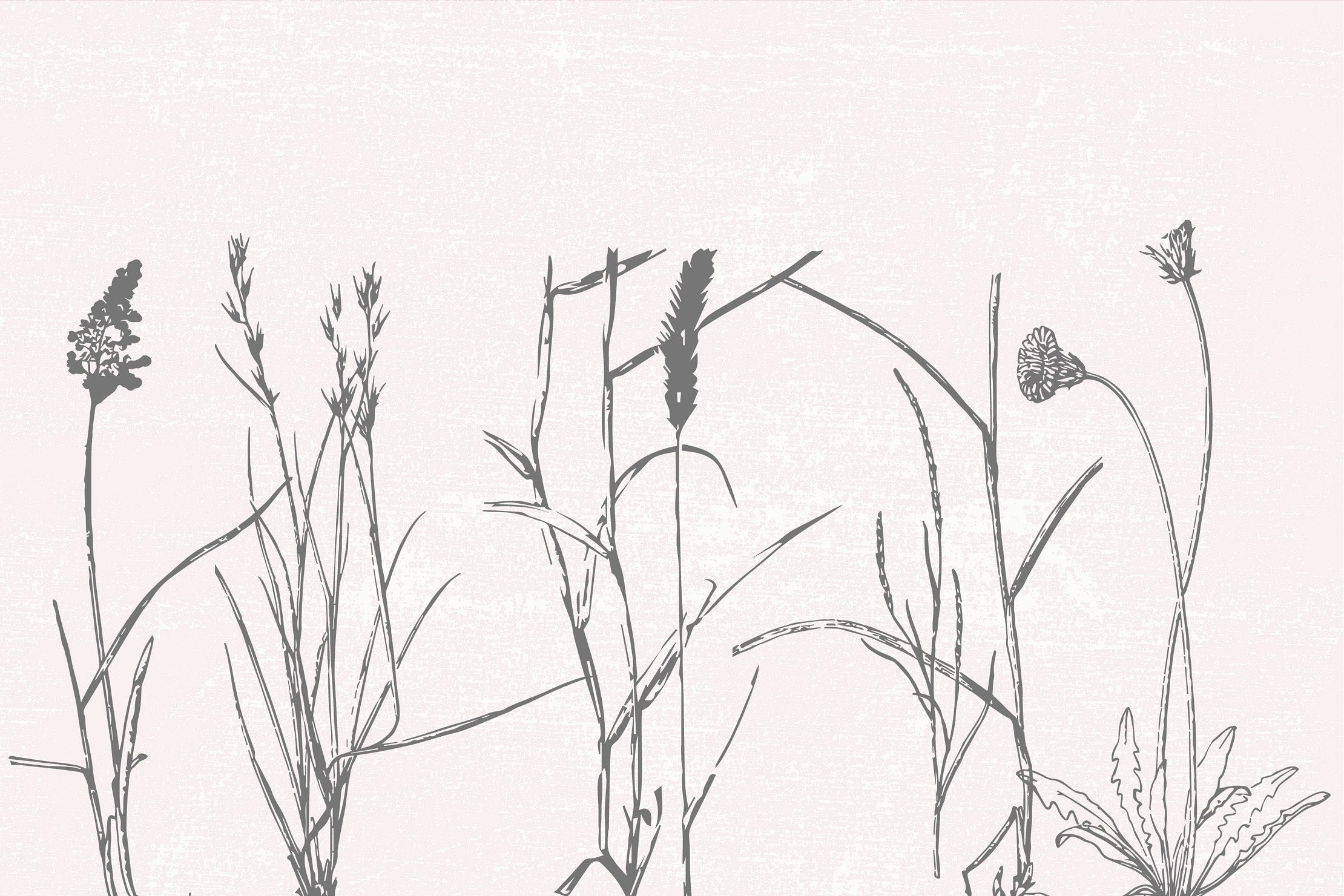 Field plants on a pastel background.