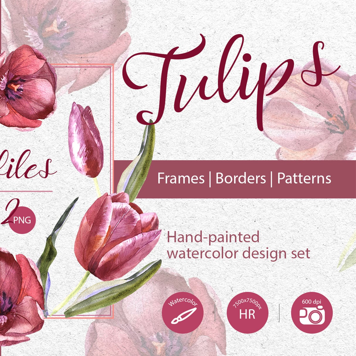 Wildflower Red Tulips PNG Watercolor Set main cover.