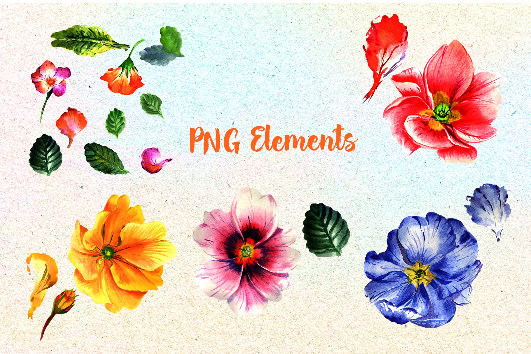 Flowers elements.