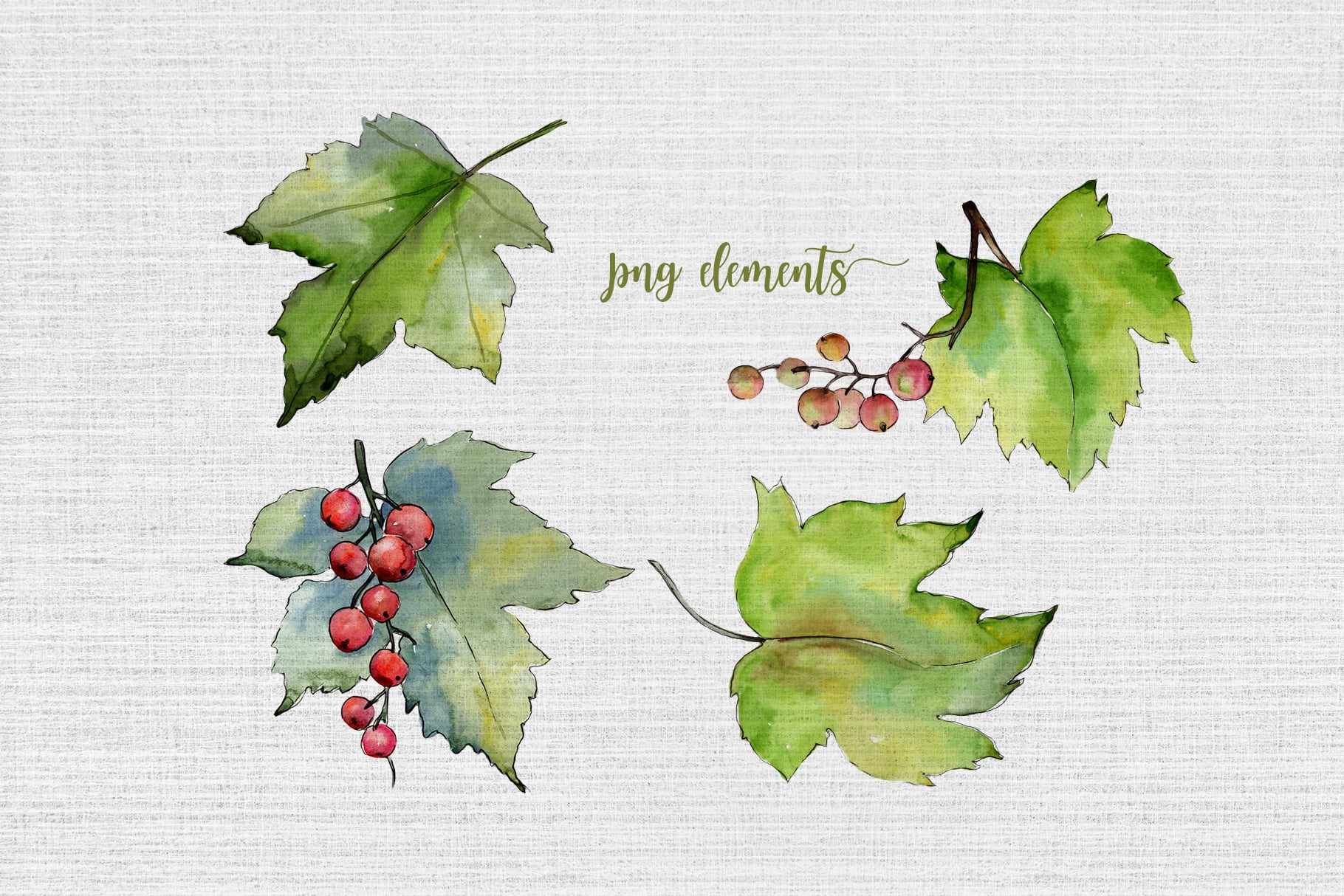 Leaves Currant PNG Watercolor Set