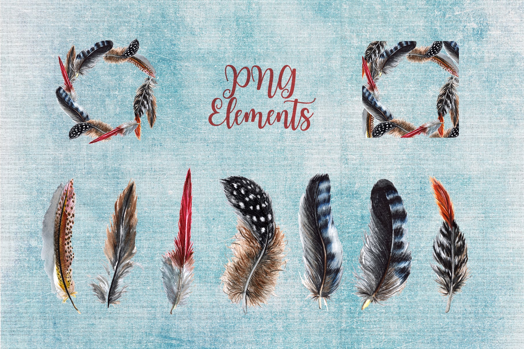 ﻿Delightful Feathers PNG Watercolor Set
