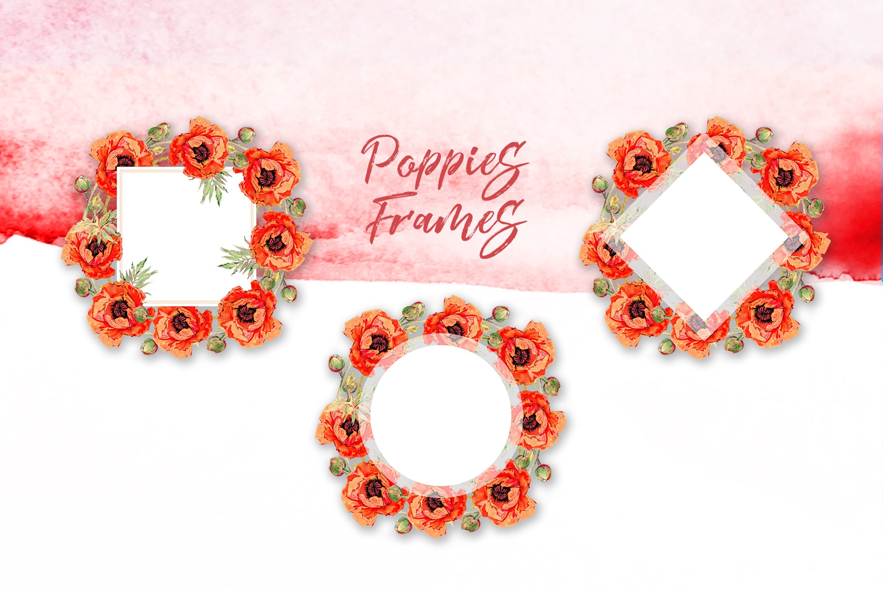 Red poppies frames.