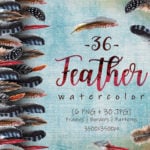 Feather bird PNG watercolor set