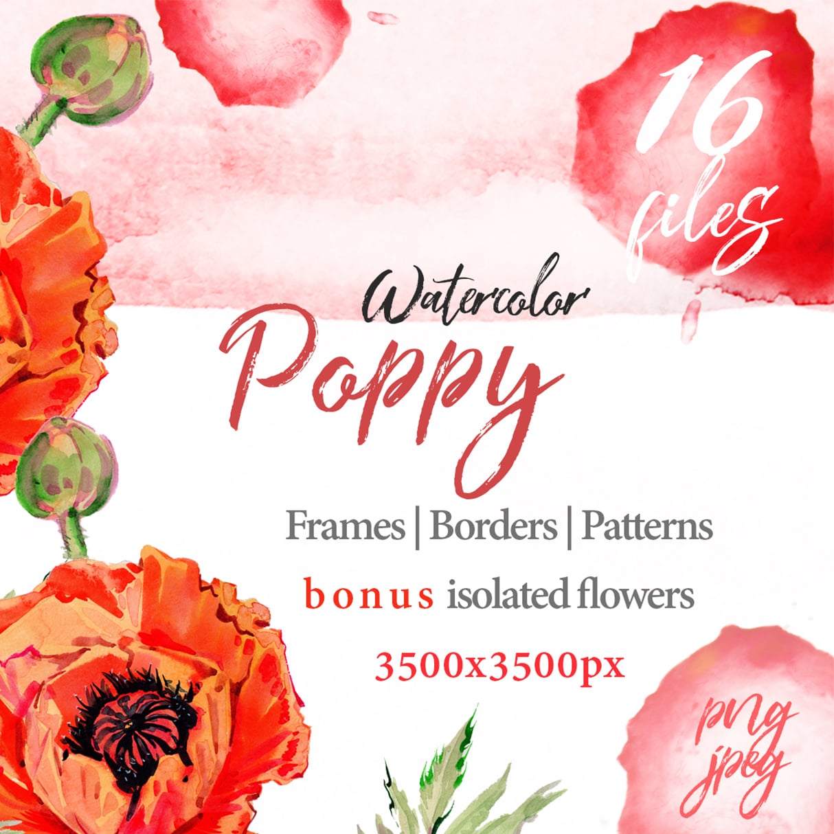 Watercolor Red Poppy PNG Set