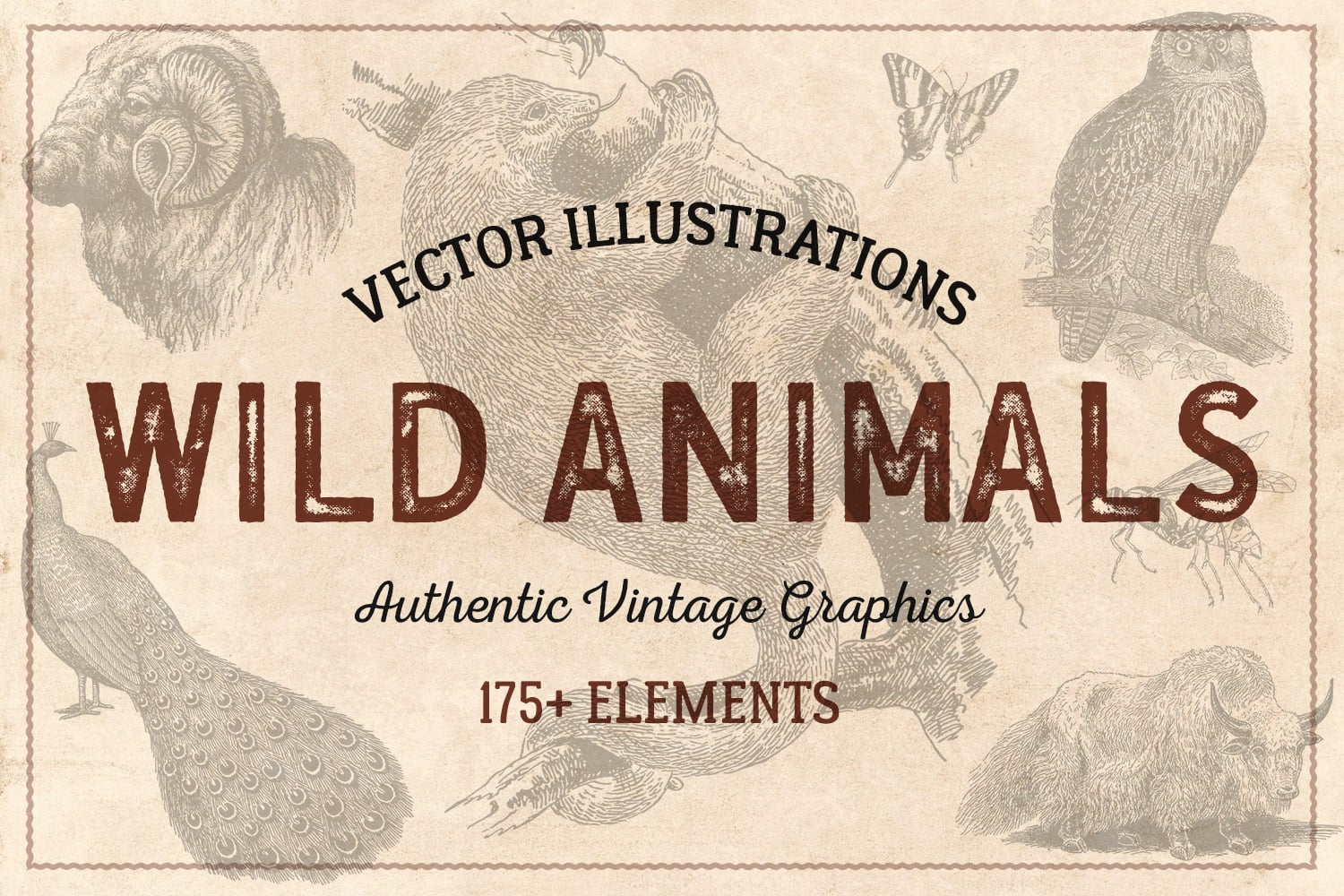 wild Animals vintage illustration