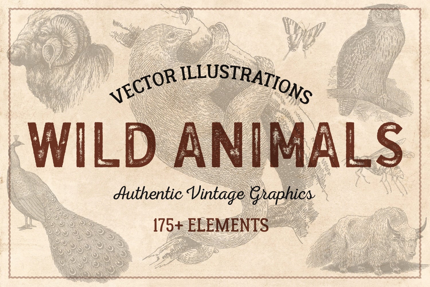 Wild vintage. God’s animals authentic book.