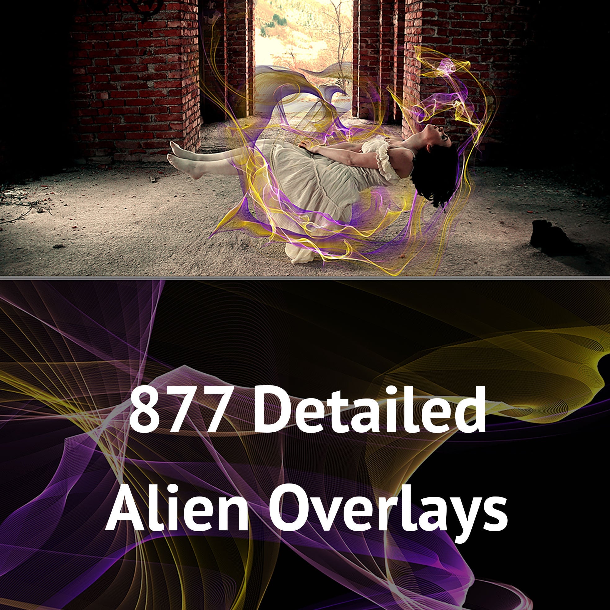 877 Detailed  Alien Overlays – $24