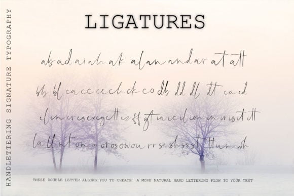 Ligatures of Shallou script font.