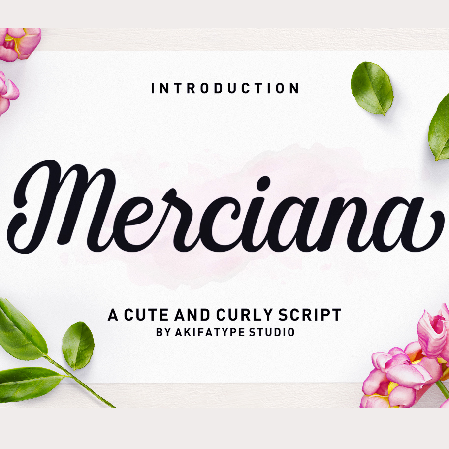 Merciana Script Font – $5 ONLY